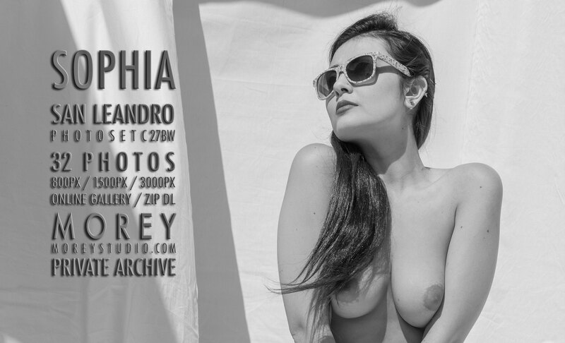 New gallery update erotic nude model photos by craig morey